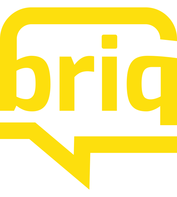 Briq Solution